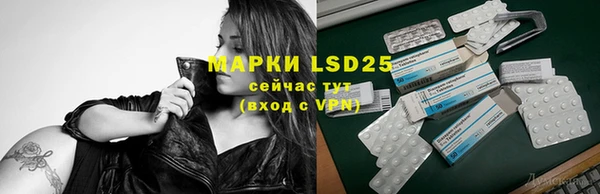 сатива Балахна