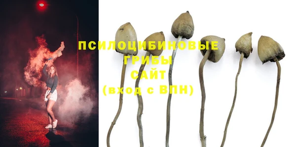 сатива Балабаново