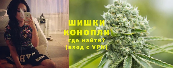 сатива Балахна